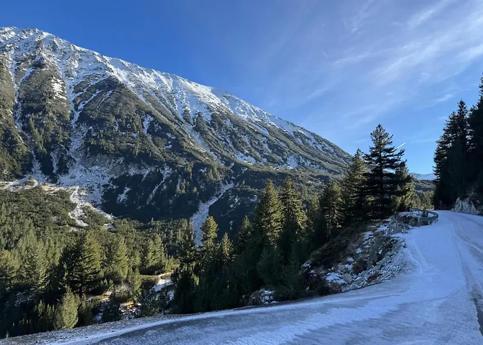 Apartment La Mont Bansko